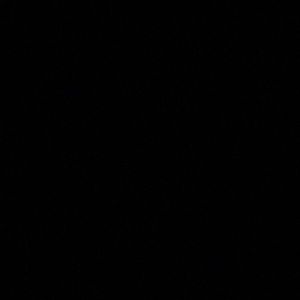 Meet your Posher, Tiana